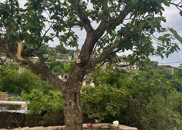 Lengo בית הארחה 3*